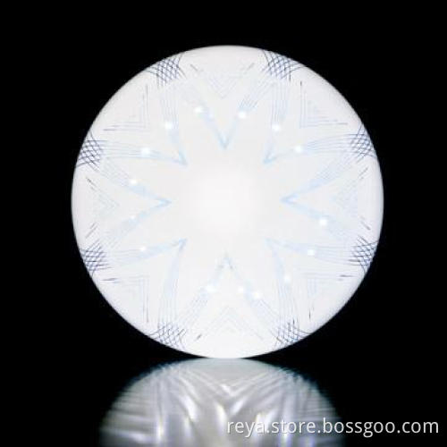 24W dimmable ceiling lamp